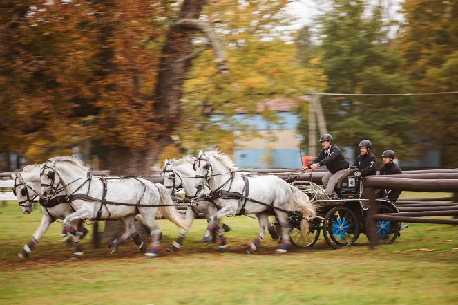 Českem na koňském hřbetu - Ukaž, že na to máš! - Filmfotos