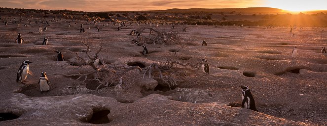 Patagonia: Earth's Secret Paradise - Heat and Dust - De filmes