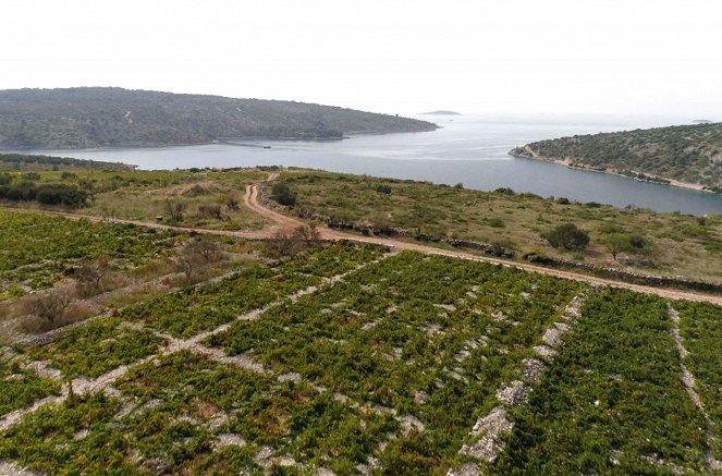 Die wunderbare Welt der Weine - Kroatien - Die dalmatischen Weinberge - Filmfotos