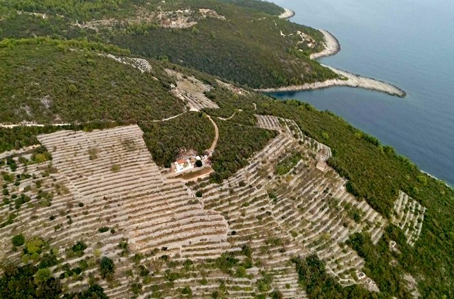 Die wunderbare Welt der Weine - Season 2 - Kroatien - Die dalmatischen Weinberge - Filmfotos