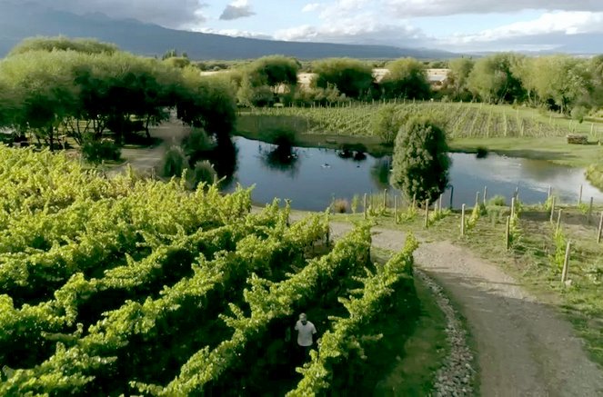 Svetové vinárske civilizácie - Patagónia - vinice na konci sveta - Z filmu