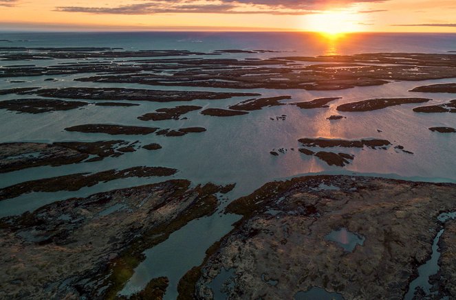 Gute Nachrichten vom Planeten - Wie wir die Natur schützen - De la película