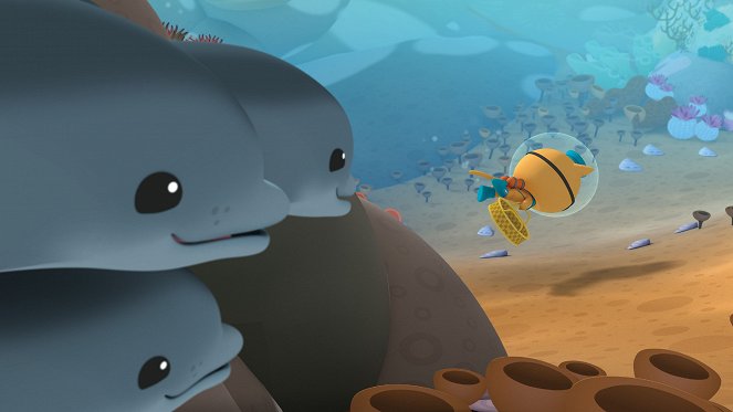 Oktonauti - The Dolphin Reef Rescue - Z filmu