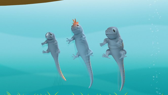 The Octonauts - The Marine Iguanas - Photos