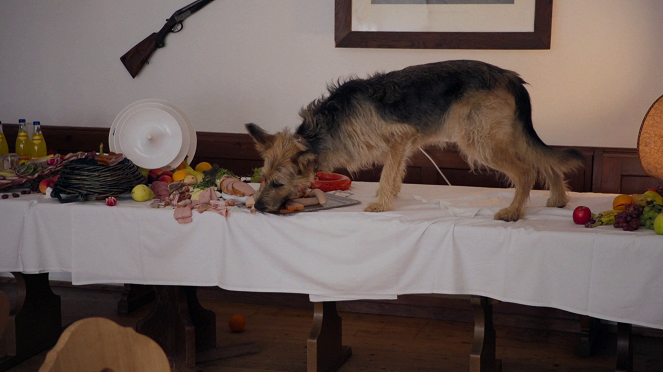 Racko - Ein Hund für alle Fälle - Season 2 - Kommissar Racko - Film