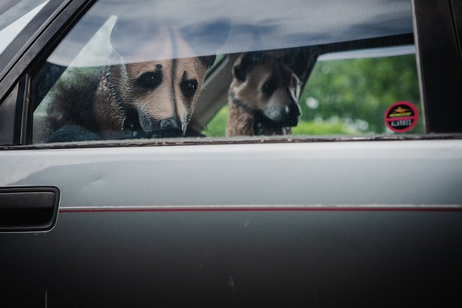 The Brokenwood Mysteries - Dog Day Morning - Van film