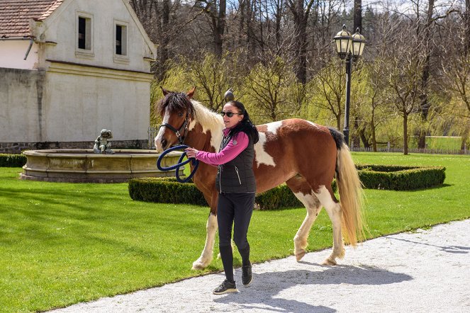 Českem na koňském hřbetu - Kůň pro alergiky - Z filmu