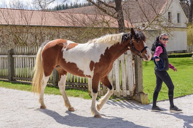 Českem na koňském hřbetu - Kůň pro alergiky - De la película