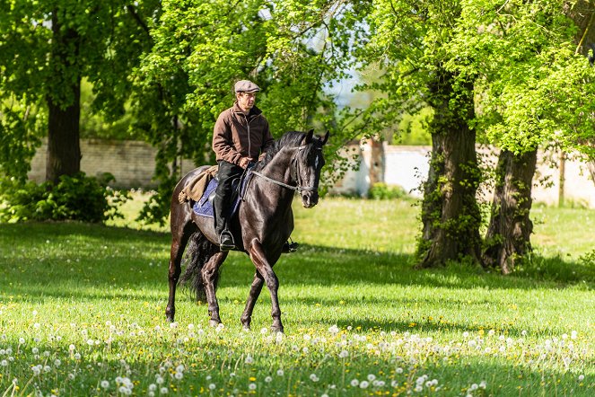 Českem na koňském hřbetu - Palác pro koně - De la película