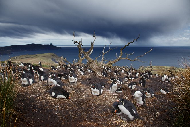 Patagonia: Earth's Secret Paradise - Life on the Edge - Kuvat elokuvasta