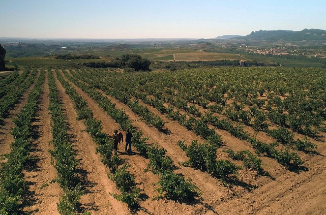 Des vignes et des hommes - Espagne – La Rioja, les gardiens de la tradition - Van film