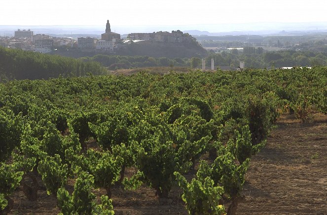 Des vignes et des hommes - Espagne – La Rioja, les gardiens de la tradition - Van film
