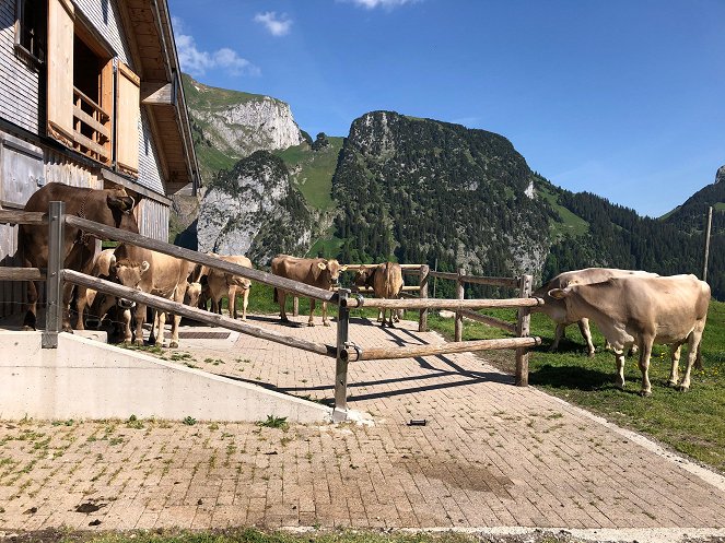 Die Schweizer Alpen - Episode 1 - Photos