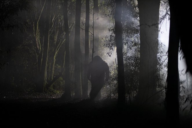 Wellington Paranormal - Te Maero - De la película