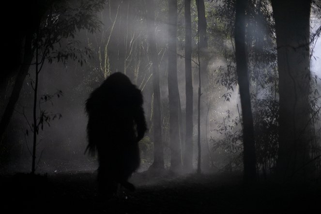 Wellington Paranormal - Te Maero - Filmfotos