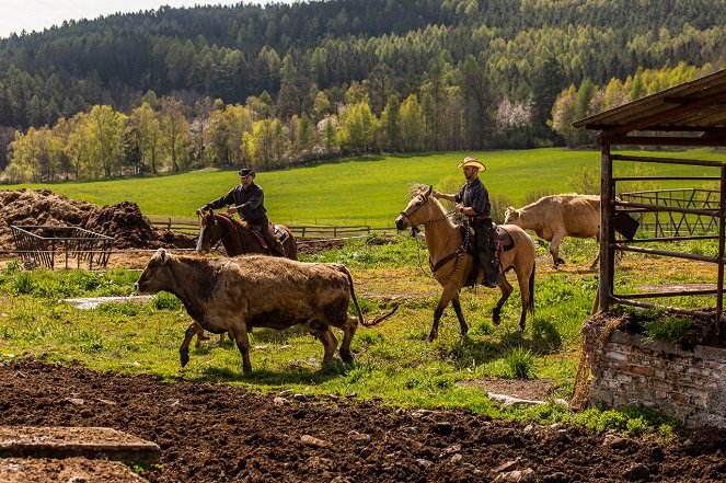 Českem na koňském hřbetu - Honáci krav - Film