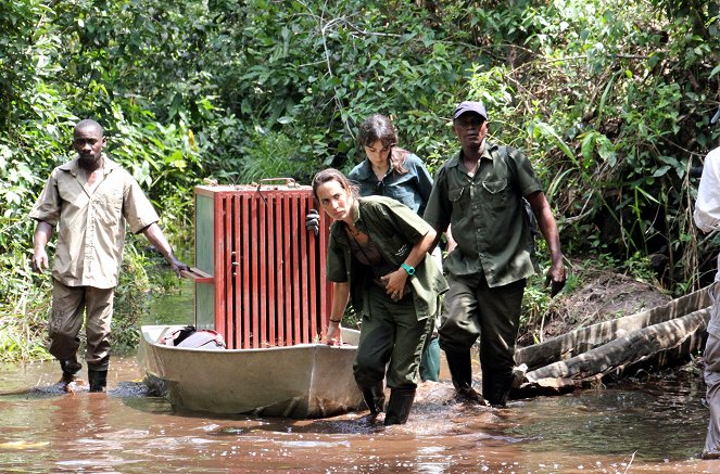 Schimpansen im Kongo mit Jane Goodall - Van film