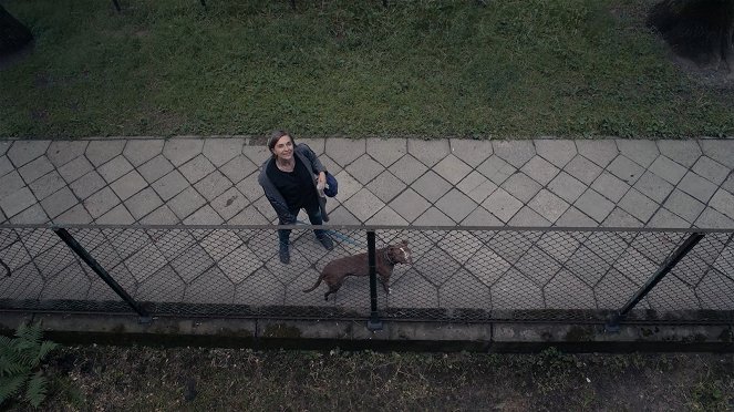 Film balkonowy - De la película