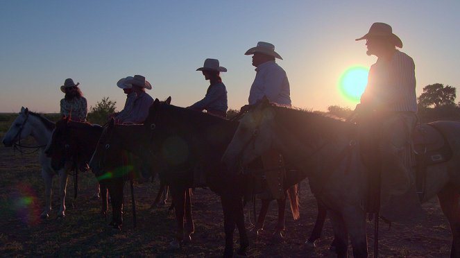How to Be a Cowboy - Reunir as vacas - Do filme