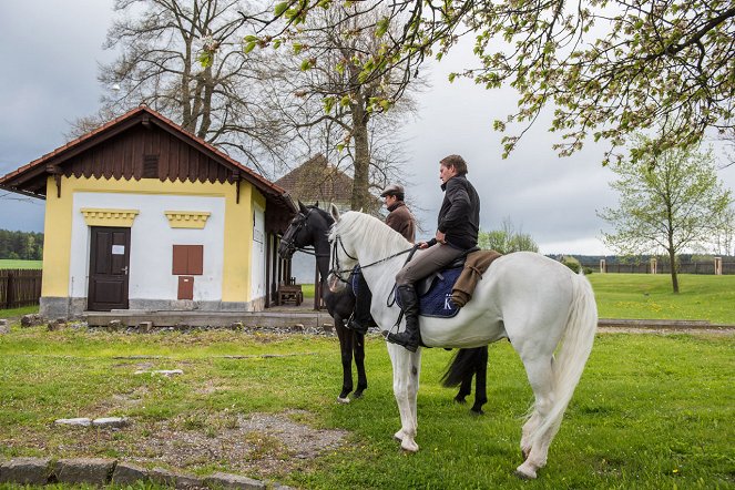 Českem na koňském hřbetu - Královská disciplína - Filmfotos