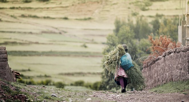 Map of Latin American Dreams - Photos