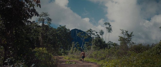 A Última Floresta - Van film