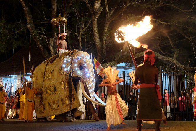 Kandys Perahera - Elefantenprozession in Sri Lanka - Filmfotos