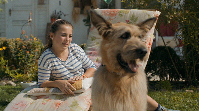 Racko - Ein Hund für alle Fälle - Wahre Freundschaft - Z filmu