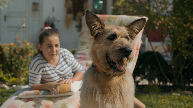 Racko - Ein Hund für alle Fälle - Wahre Freundschaft - De la película