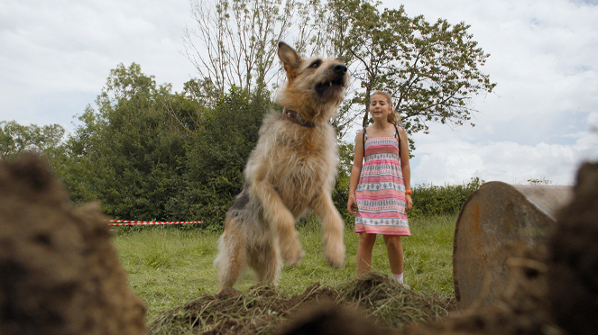 Racko - Ein Hund für alle Fälle - Scherben bringen Glück - Van film