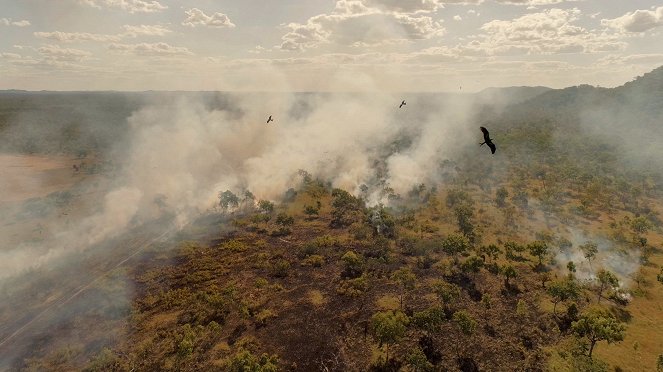Naturkatastrophen: Wie Tiere und Pflanzen überleben - Filmfotos