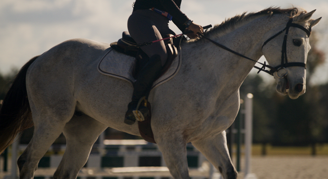 Skrytá tvář sportu - Království za koně - Z filmu