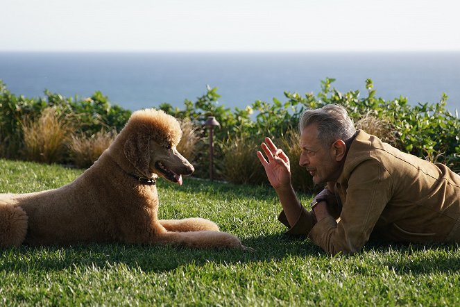 Jeff Goldblum világa - Kutyatartás - Filmfotók - Jeff Goldblum