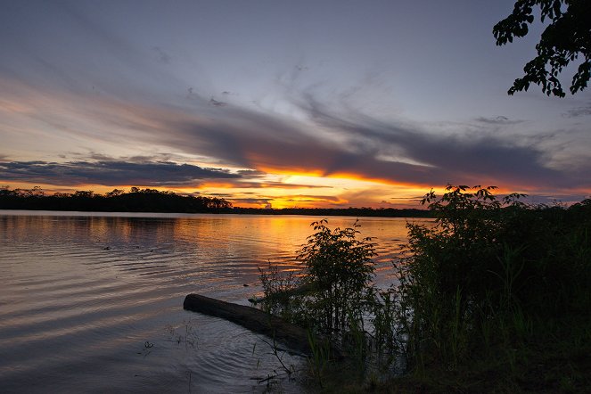 Colombia - Wild and Free - Photos