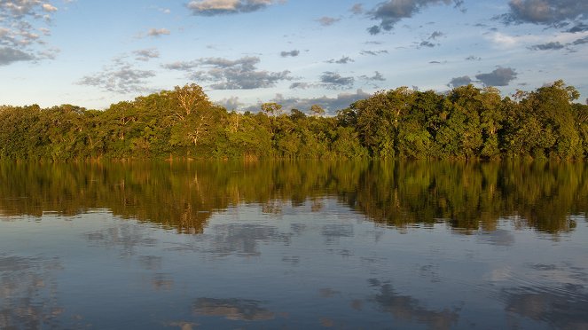 Colombia - Wild and Free - Photos