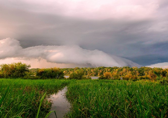 Colombia - Wild and Free - Photos