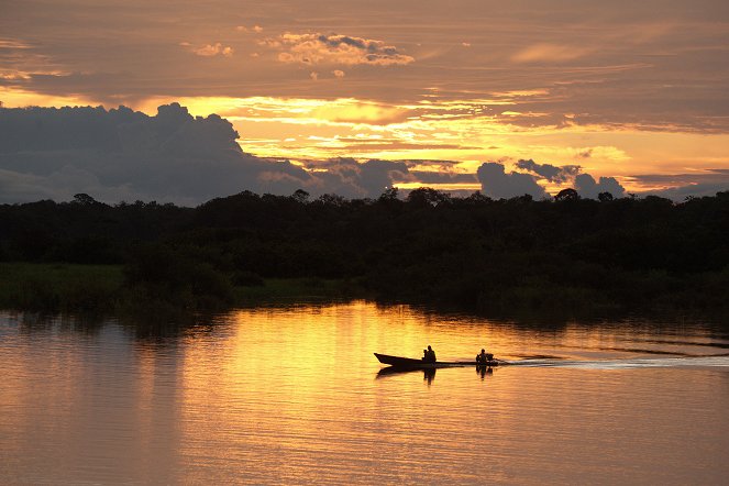 Universum: Kolumbien - Das entfesselte Paradies - Kuvat elokuvasta