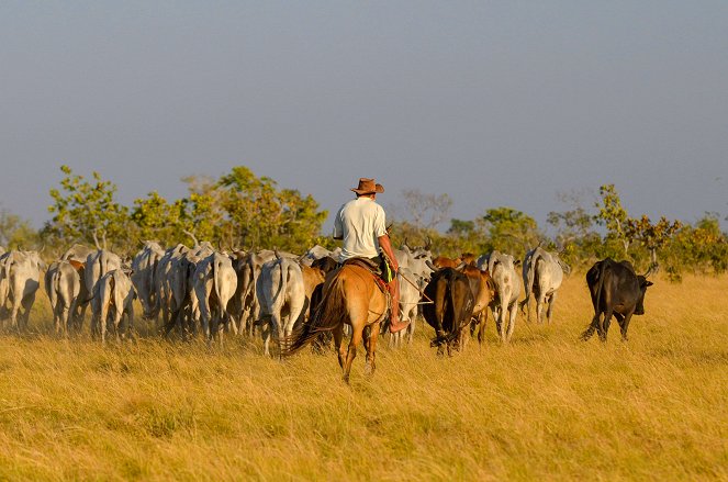 Colombia - Wild and Free - Photos