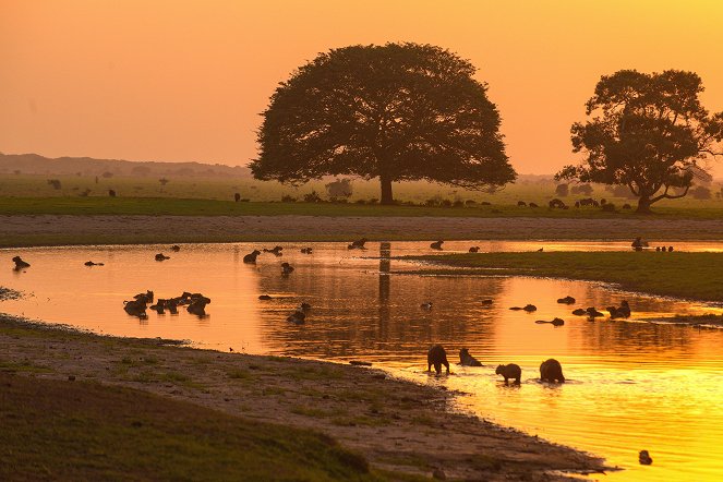 Universum: Kolumbien - Das entfesselte Paradies - Van film