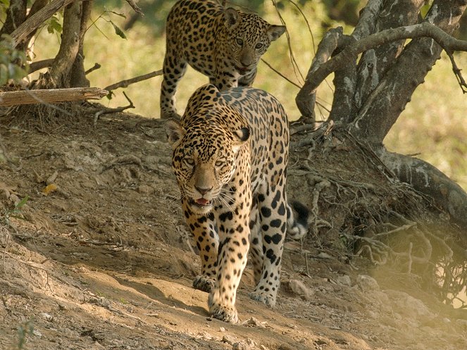 Colombia - Wild and Free - Photos