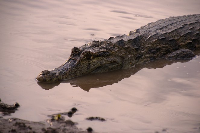 Colombia - Wild and Free - Photos