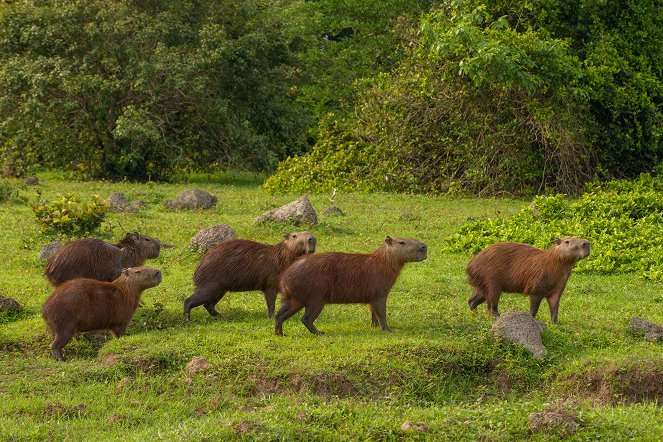 Colombia - Wild and Free - Photos