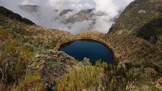 Colombia - Wild and Free - Photos