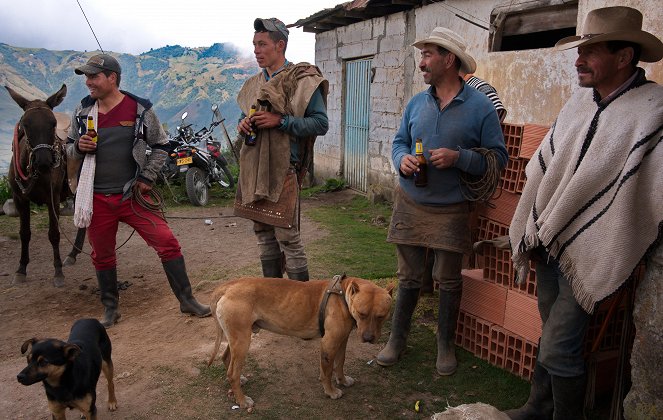 Colombia - Wild and Free - Photos