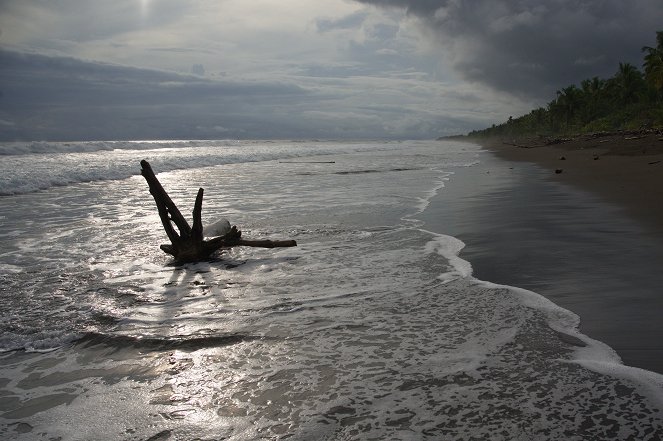 Universum: Kolumbien - Das entfesselte Paradies - Filmfotos