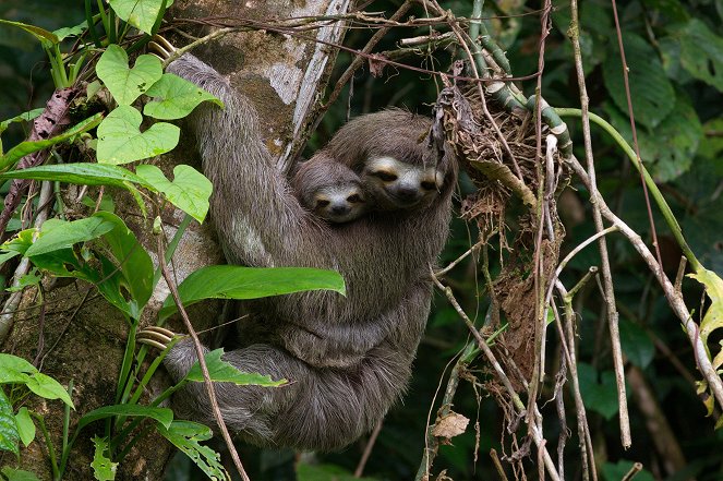 Colombia - Wild and Free - Photos