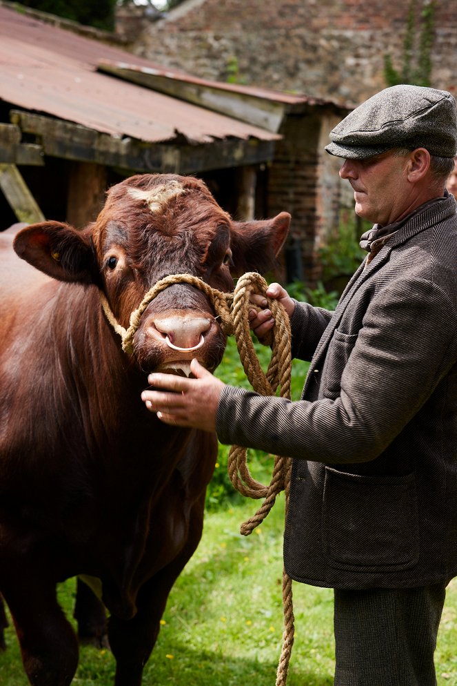 Der Doktor und das liebe Vieh - Season 2 - Letzte Stunde, letzter Mann - Filmfotos