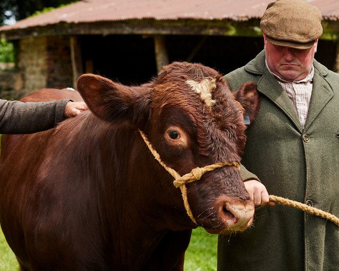 Der Doktor und das liebe Vieh - Season 2 - Filmfotos