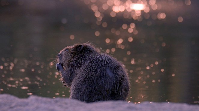 Wildes Bayern - Van film