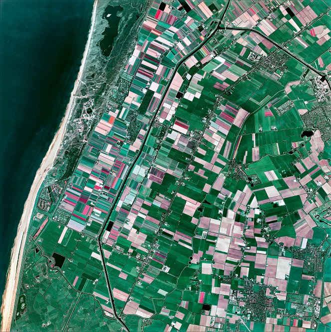 Earth from Space - Colourful Planet - Z filmu